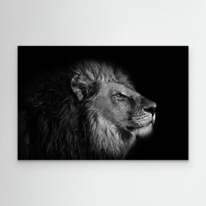 Majestic Black and White Lion Portrait 4K Wallpaper