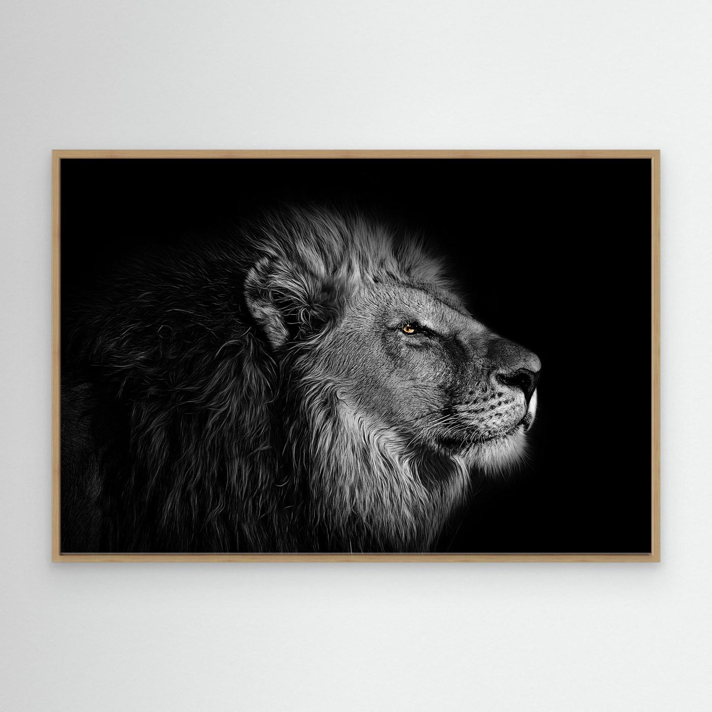 Majestic Black and White Lion Portrait 4K Wallpaper