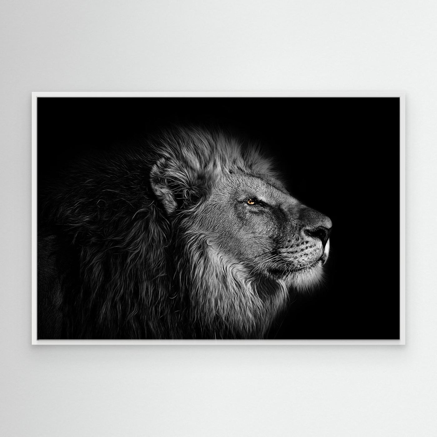 Majestic Black and White Lion Portrait 4K Wallpaper