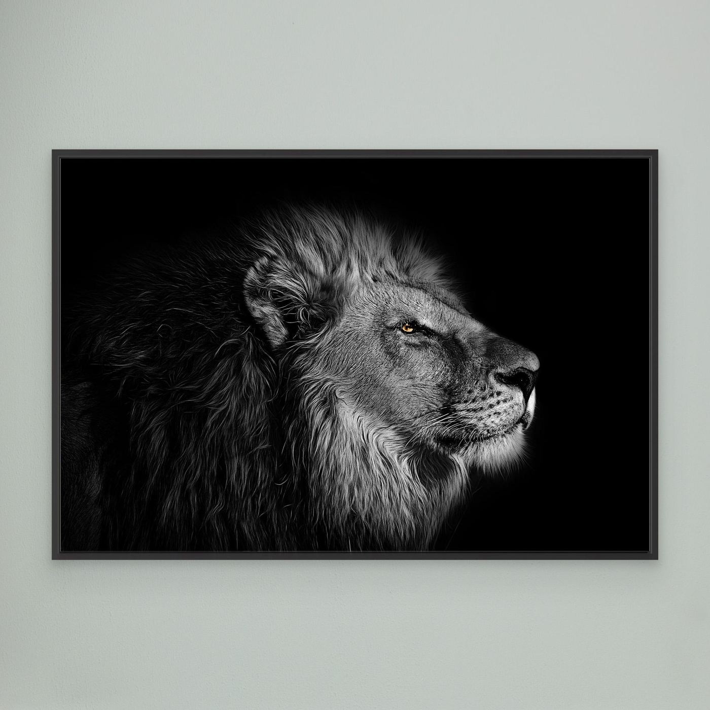 Majestic Black and White Lion Portrait 4K Wallpaper