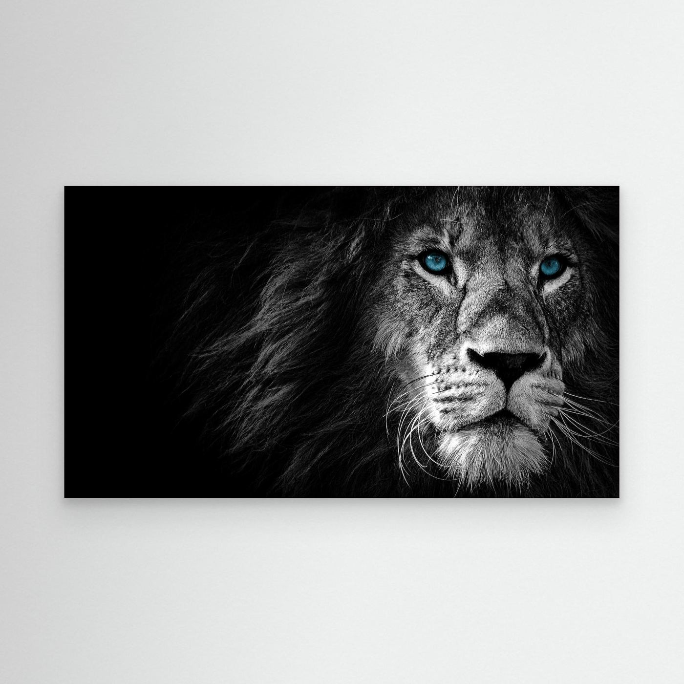 Majestic Blue-Eyed Lion Black & White 4K Wallpaper