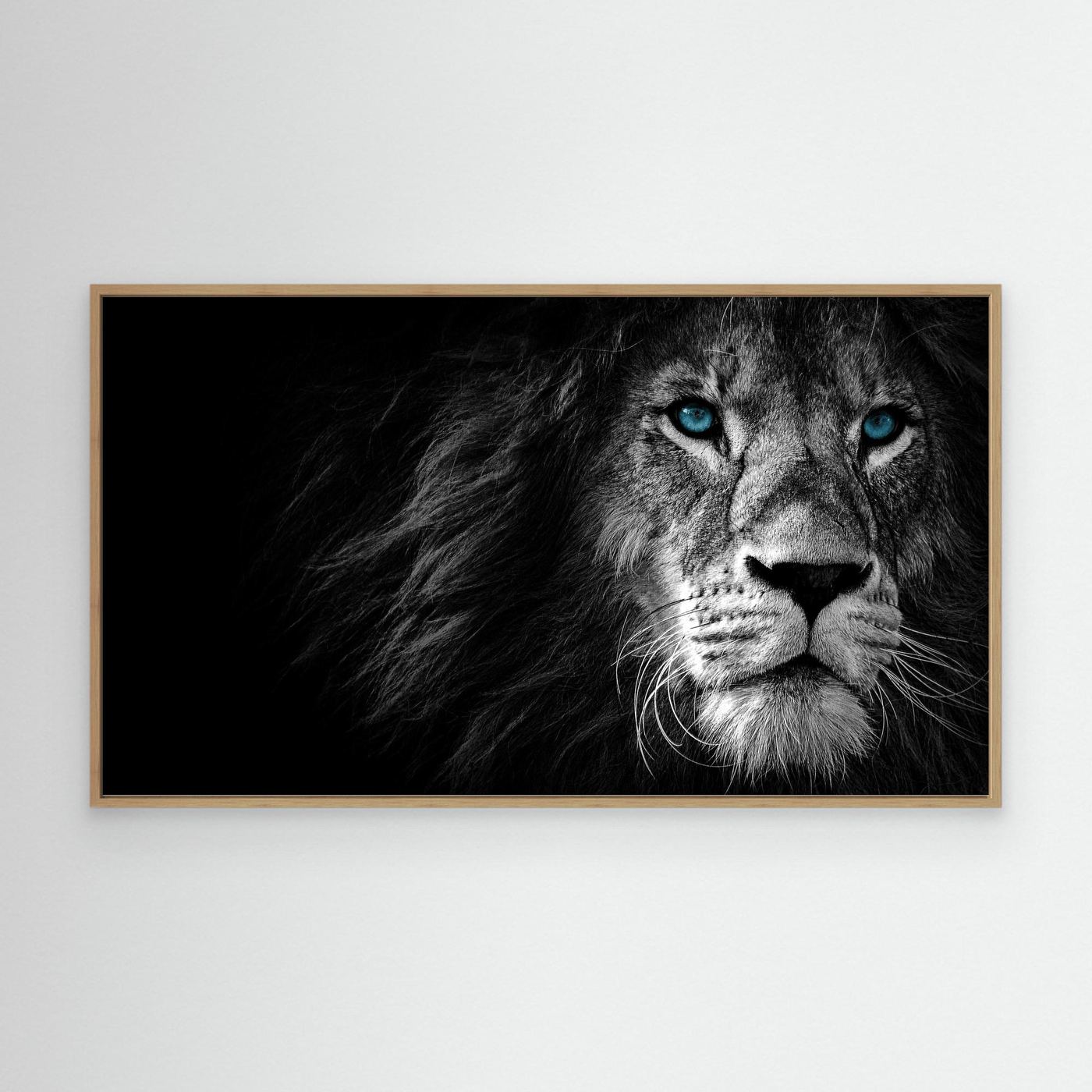Majestic Blue-Eyed Lion Black & White 4K Wallpaper