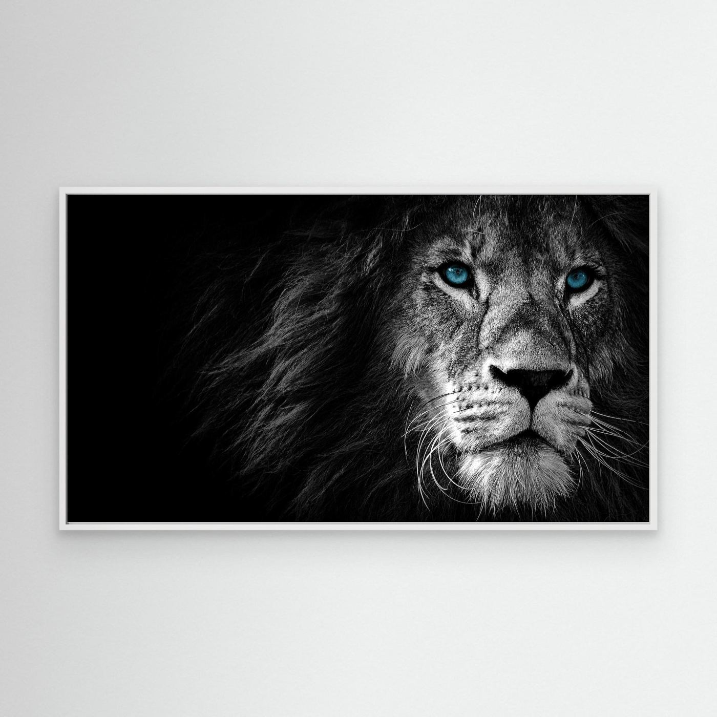 Majestic Blue-Eyed Lion Black & White 4K Wallpaper