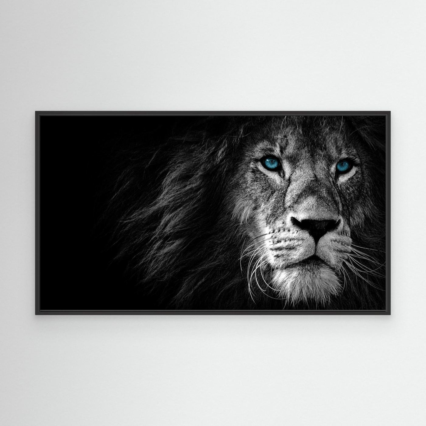 Majestic Blue-Eyed Lion Black & White 4K Wallpaper
