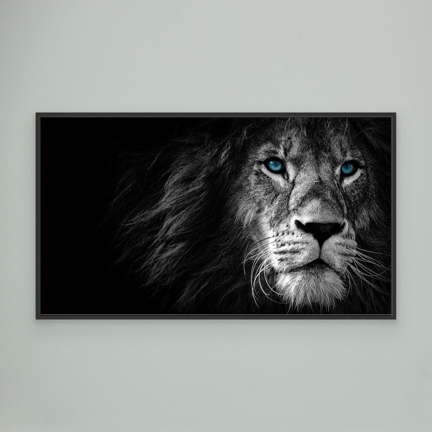 Majestic Blue-Eyed Lion Black & White 4K Wallpaper