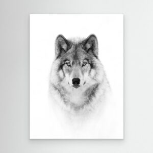 Portrait of a Timber Wolf by Jim Cumming
