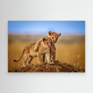 Brothers for Life by Jeffrey C. Sink