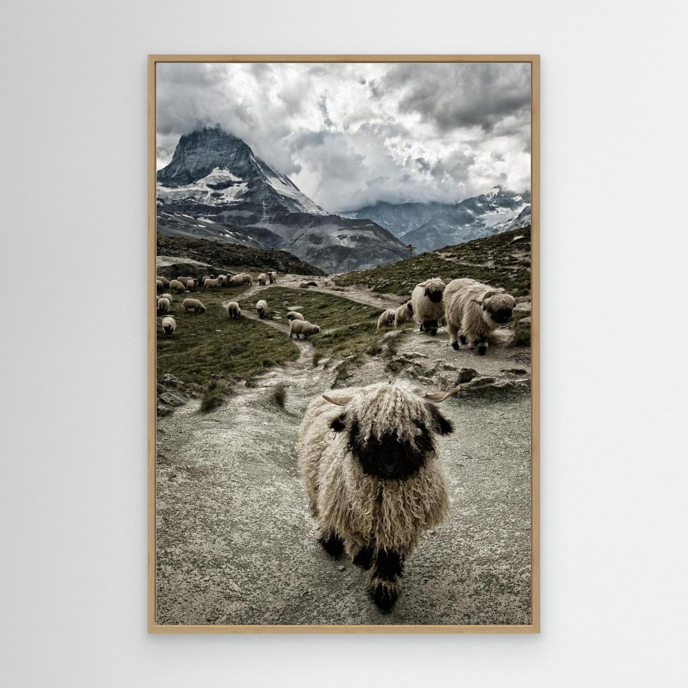 Out of my way by Susanne Landolt