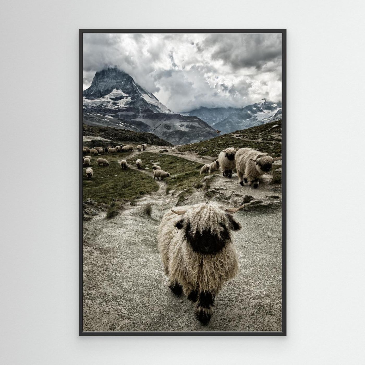 Out of my way by Susanne Landolt