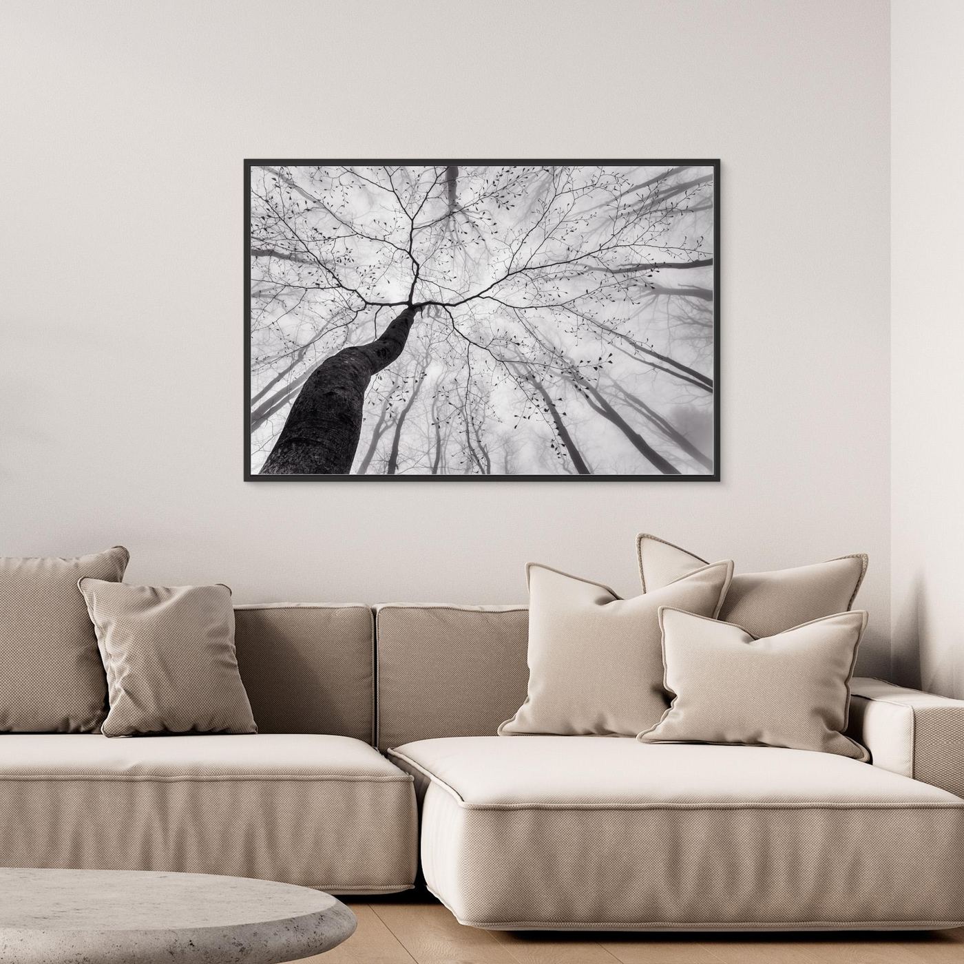 A view of the tree crown by Tom Pavlasek