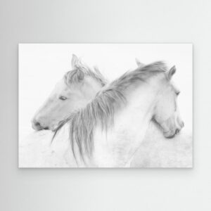 Horses by Marie Anne Stas