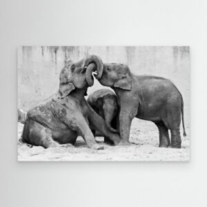 MÉNAGE À TROIS by Antje Wenner Braun
