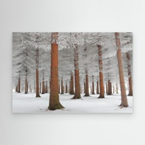 In White by Dragisa Petrovic