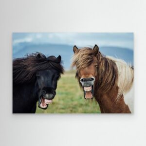 WILD SMILE by Nir Amos