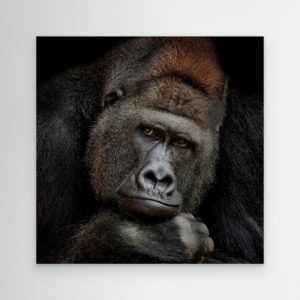 ONE MOMENT IN CONTACT by Antje Wenner Braun