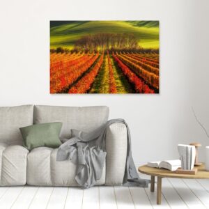 vine-growing by Piotr Krol (Bax)