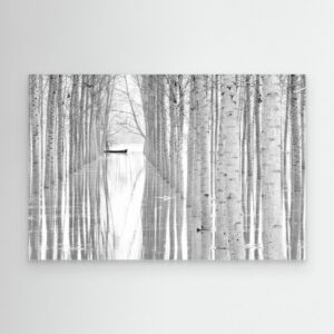 Free movement by Aglioni Simone