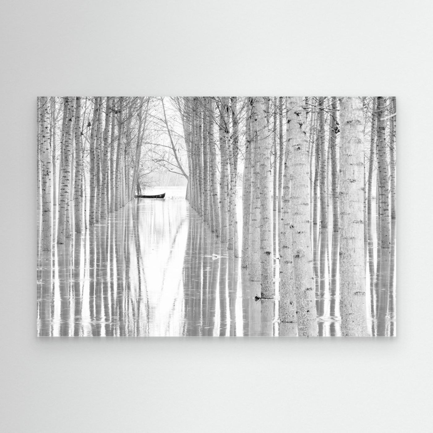 Free movement by Aglioni Simone