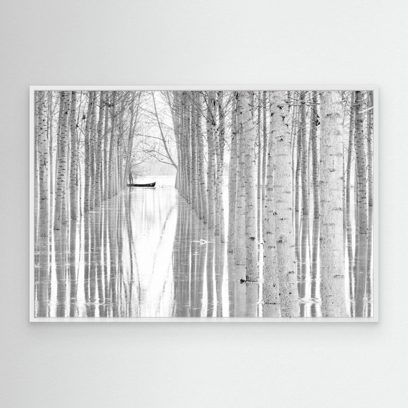 Free movement by Aglioni Simone