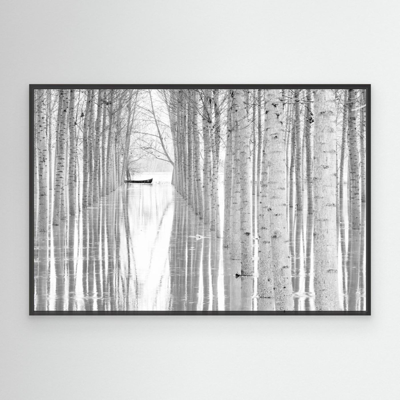 Free movement by Aglioni Simone