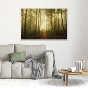 Charm of the ephemeral by Norbert Maier
