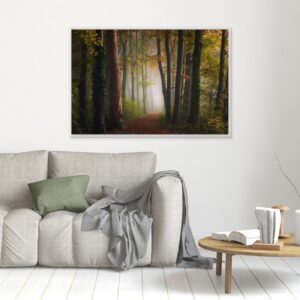 Autumn colorful forest by Ning Yun Ye