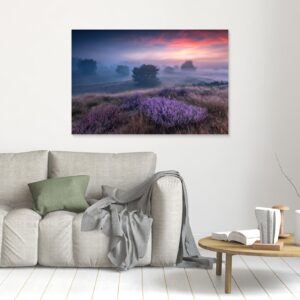 "the colors of heather" by Adam Pachula