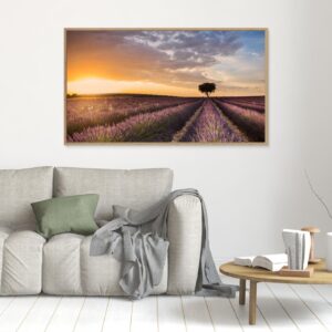 DESTINATION LAVENDER by Fran Ros